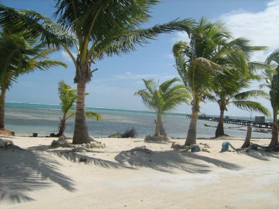 caribbean sea island real estate