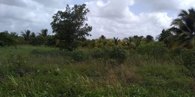 Belize real estate