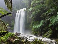 belize waterfall