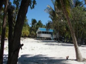 belize island real estate