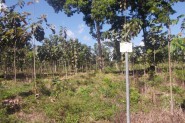 Belize land for sale